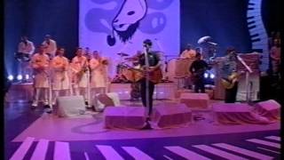 Super Furry Animals  Northern Lites live on Later [upl. by Valoniah886]