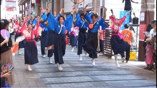 quot炎流ENRUquot at the 71st Yosakoi Dance Festival in 2024 Kochi Japan [upl. by Irolav753]