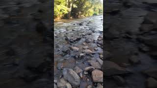 the pebbled river [upl. by Capps]