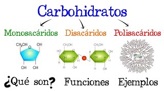 🍞 Carbohidratos 💥 ¿Qué son 🥔 Funciones 🍟 EJEMPLOS 🥞 Fácil y Rápido  BIOLOGÍA [upl. by Trebmal]