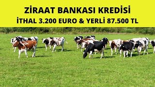 2Yıl Ödemesiz 5 Yıl Geri Ödemeli Ziraat Bankası Kredisi 2024 [upl. by Ury232]