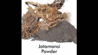 how to use jatamasi powder जटामांसी का इस्तेमाल कैसे करें [upl. by Mandell]