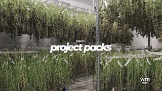 Inside Project Packs Bringing Legacy Cannabis Brands to Arizona [upl. by Amluz]