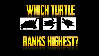 The Turtle Tier List [upl. by Amedeo]