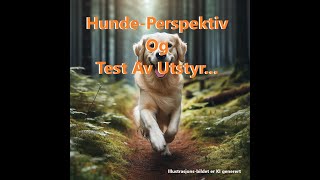 Hundeperspektiv Og test Av utstyr [upl. by Southard]