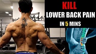 LOWER BACK INJURYकमर दर्द का इलाज REASON amp EXERCISES TO HEAL FAST [upl. by Dovev26]