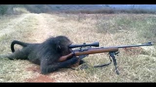 Sniper Monkey [upl. by Nwavahs139]