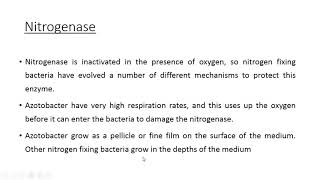 Isolation of Azotobacter from soil [upl. by Darraj]