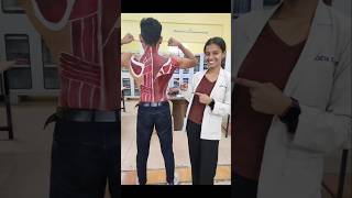 Anatomy body painting competition Government Physiotherapy College anatomy trending shorts [upl. by Victoria]