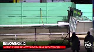 Rioja Oisin  Arena Racing Company Scurry Gold Cup Final 2024 [upl. by Finegan]