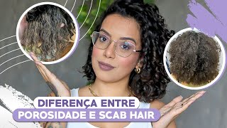 Porosidade Alta X Scab Hair  Qual a Diferença  Tamires Maia [upl. by Armbrecht734]