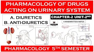 Diuretics amp Antidiuretics  Pharmacology of Drugs Acting on Urinary System  Pharmacology 5th sem [upl. by Radke]