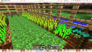 Minecraft Tutorial Harvesting Crops [upl. by Ramyar]