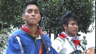 VIENTO HUICHOL 2015 NUEVO [upl. by Kilby275]