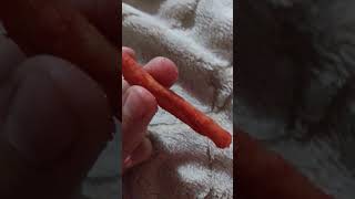 Mañana terminare el paquete de takis miren el vídeo yo comiendo los takis fuego💥🔥 [upl. by Nolyat]