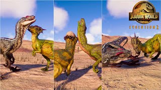 Pachycephalosaurus Dracorex Stygimoloch Finishers vs Small Carnivore Dinosaurs  JWE2 [upl. by Alpheus]