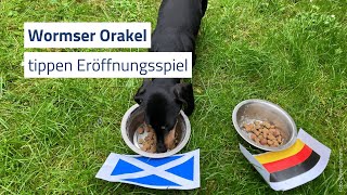 Wormser EMOrakel tippen Eröffnungsspiel [upl. by Ntsyrk]