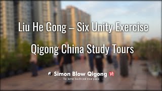 Liu He Qigong  Six Unity Exercise [upl. by Borreri460]