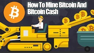 How to Mine Bitcoin Cash amp BTC Complete Mining Tutorial amp Setup with Pool Configuration Guide [upl. by Jona]