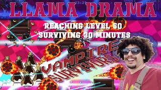 Llama Drama Reaching Level 50 and Surviving 30 Minutes in Vampire Survivors [upl. by Leahcin]