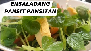 How to make Pansit Pansitan Ensalada Peperomia Pellucida [upl. by Mansoor]