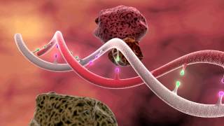 DNA Mutation 3D Animation [upl. by Schrader]