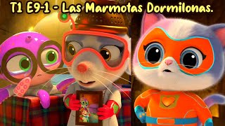 T1 E91  Las Marmotas Dormilonas  Supergatitos [upl. by Nilya]