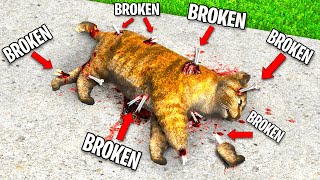 Breaking EVERY BONE As a CAT In GTA 5 [upl. by Lynnworth]