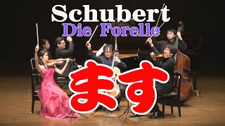 シューベルト ピアノ五重奏曲「鱒」イ長調 概要欄に楽曲解説動画へのリンクがあります） Schubert FranzPiano Quintet quotTroutquot ADur D 667 [upl. by Jews]