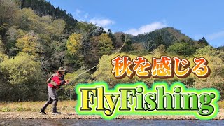 秋の渓谷で楽しむルースニング🍂【FlyFishing】庶路川上流 [upl. by Anem]