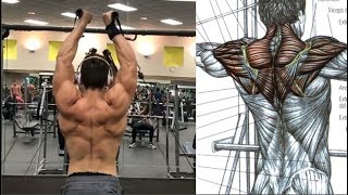 7 Combinaciones para Espalda y Hombros Back and SHoulders Workout [upl. by Htebsle]