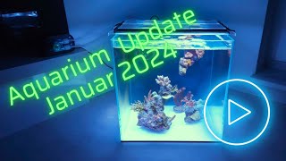 UNS Cube Nano Aquarium Update Januar 2024 [upl. by Mame204]