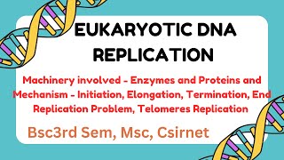 DNA Replication in Eukaryotes Mechanism and Machinery Csirnet Gate IIT JAM CUET PG [upl. by Poler]