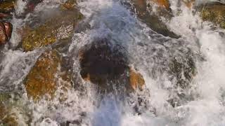 bubbling mountain river water washing brown rocks [upl. by Raybin583]