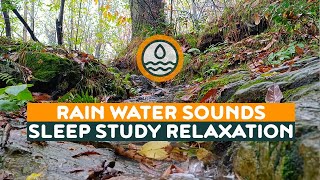 Peaceful water flow rainfall ambience for sleep relief 8 Hours relaxing rain sounds autumn forest [upl. by Killigrew382]