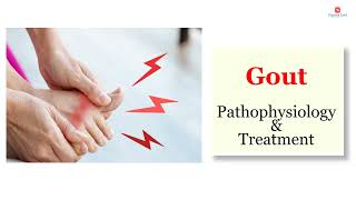 Gout  Definition pathophysiology and Treatment options [upl. by Ised]