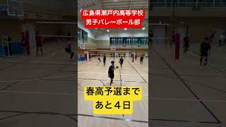 春高予選まであと４日 shorts 瀬戸内高校男子バレーボール部 春高バレー [upl. by Aleihs410]