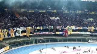 hellas verona vs napoli curva sud universita del tifo [upl. by Adnarym]