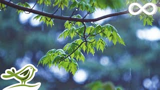 Relaxing Music amp Gentle Rain Sounds  Beautiful Piano Music for Relaxation amp Sleep [upl. by Longley65]