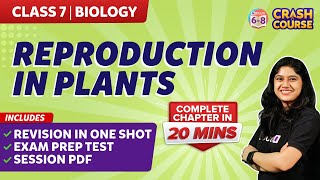 Complete Reproduction in Plants Chapter Under 20 Mins Class 7 Biology  Crash Course  BYJUS [upl. by Nagaem739]