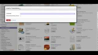 Change language in OpenERP 70 [upl. by Allerym]