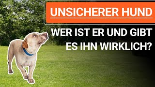 💥🐶 Was bedeutet UNSICHERER HUND und gibt es ihn wirklich ➡️ Erklärvideo 🐶💥✔️ [upl. by Attenweiler]