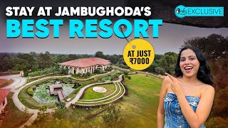 Explore Jambughoda Wildlife Sanctuary  Curly Tales Exclusive Deal at Bhanu Resort  Curly Tales [upl. by Amik923]