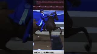 isabelle fischer the rider you are 🤍  saddlebred saddleseat equestrian [upl. by Magen]