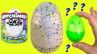 HATCHIMALS  What Magical Surprise Animal Did We Get [upl. by Sink]