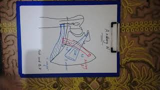 13 Axillary Nerve [upl. by Ayian]