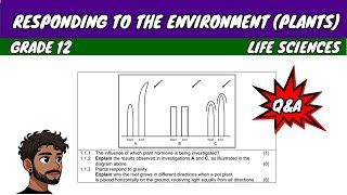 Responding to the Environment Plants Grade 12 Life Sciences [upl. by Jone]