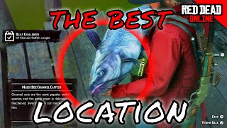 RDR2 Online  The Best Channel Catfish location  Channel Catfish caught Daily Challenge [upl. by Dusty]