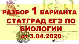 ЕГЭ БИОЛОГИЯ 1 Вариант Статград апрель 2020 [upl. by Laitselec]