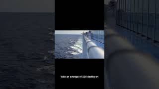 Why Cruise Ships Have Onboard Morgues [upl. by Sirod723]